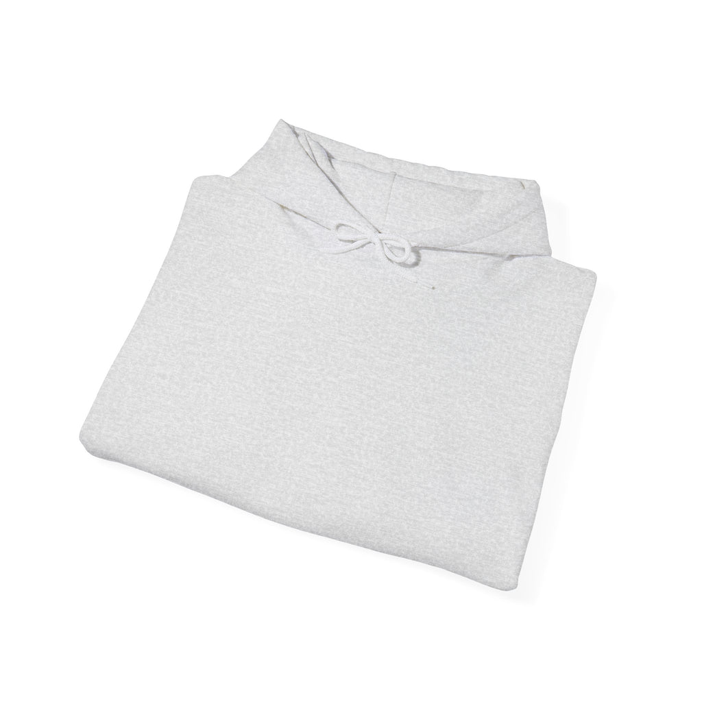 Cozy Unisex Hoodie for Everyday Comfort, Casual Sweatshirt, Gift for Him or Her, Perfect for Fall, Winter Wardrobe Essential