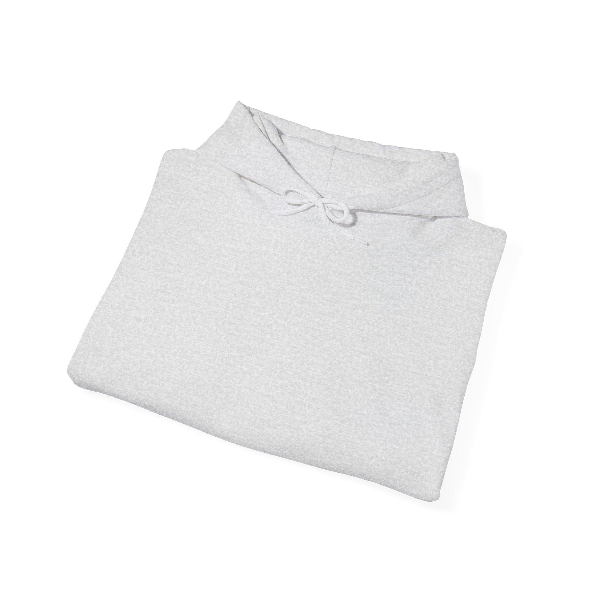 Cozy Unisex Hoodie for Everyday Comfort, Casual Sweatshirt, Gift for Him or Her, Perfect for Fall, Winter Wardrobe Essential
