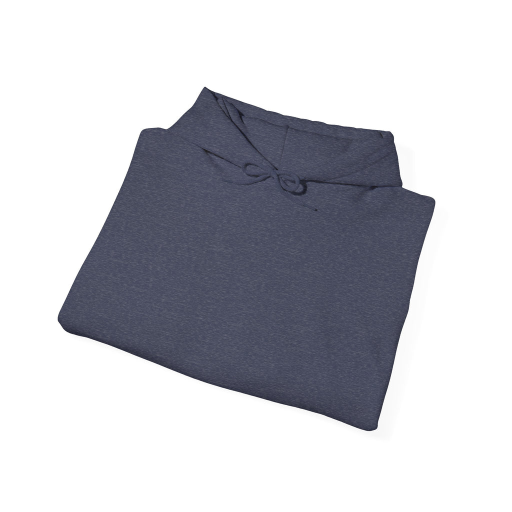 Cozy Unisex Hoodie for Everyday Comfort, Casual Sweatshirt, Gift for Him or Her, Perfect for Fall, Winter Wardrobe Essential