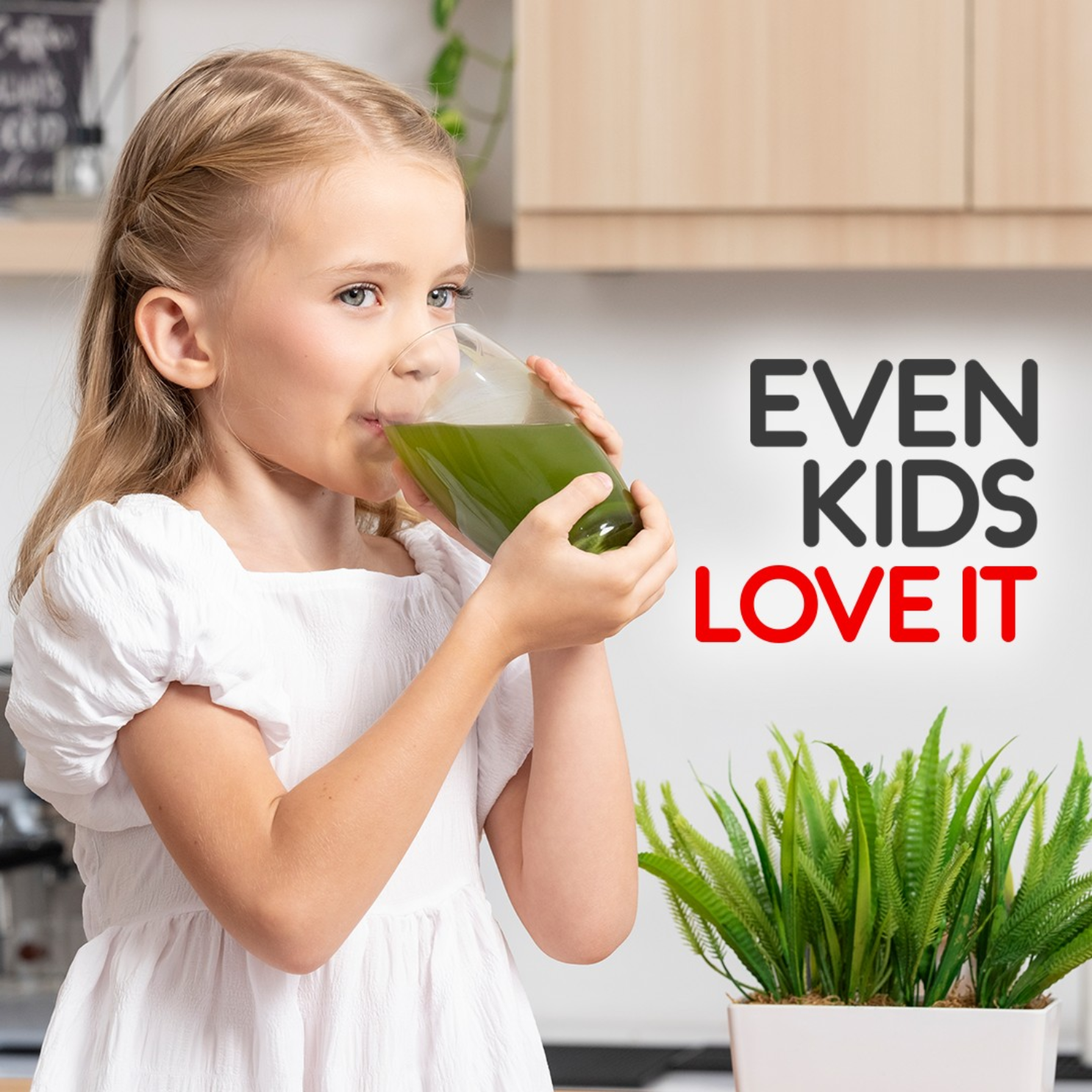 JC Organic Barley Juice